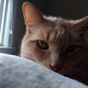 Meet your Posher, Marcia